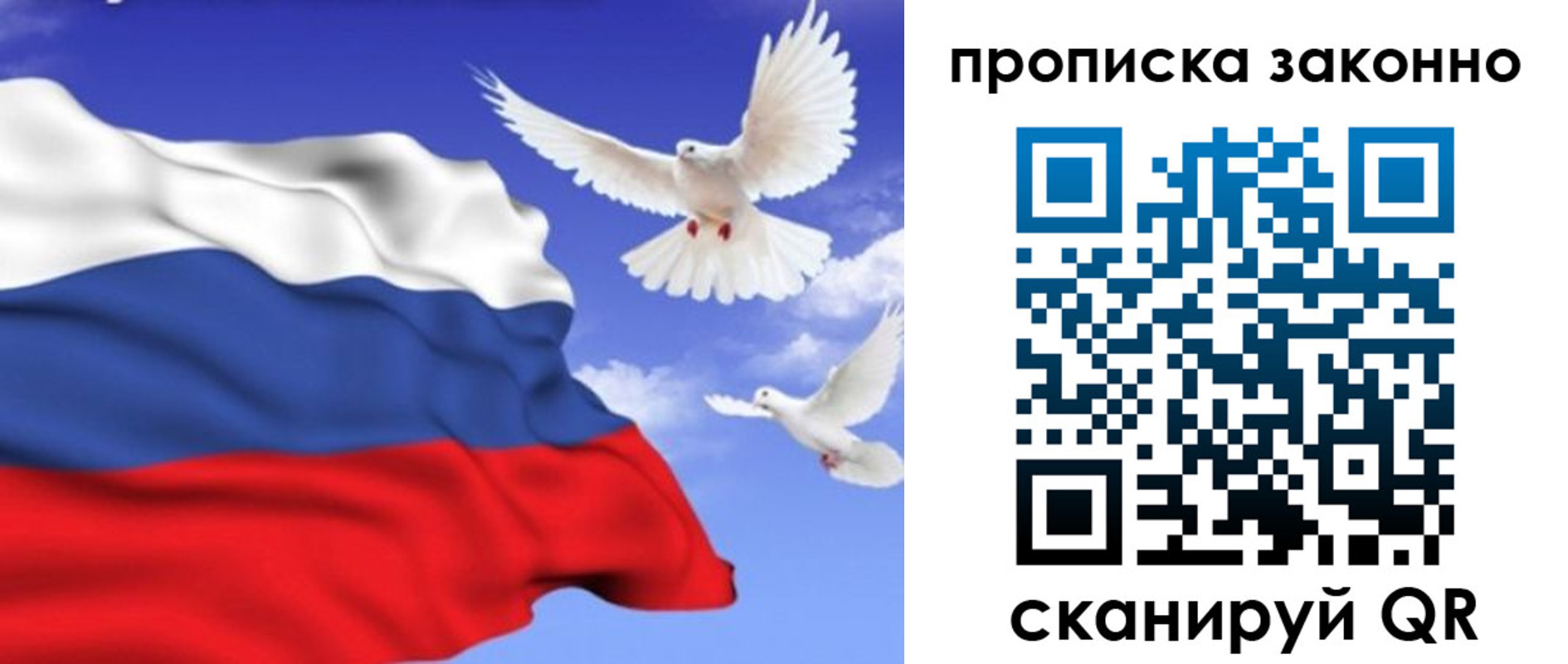 прописка в Елизово