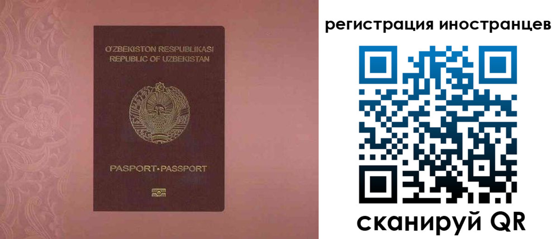 временная регистрация госуслуги в Елизово